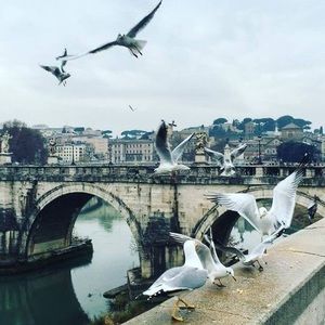 Meet your Posher, Mohamed